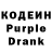 Кодеин Purple Drank Lecha Elihanov
